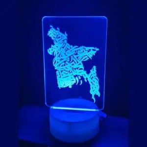 GearUP Acrylic Multicolor Night Lamp White (BD Map)